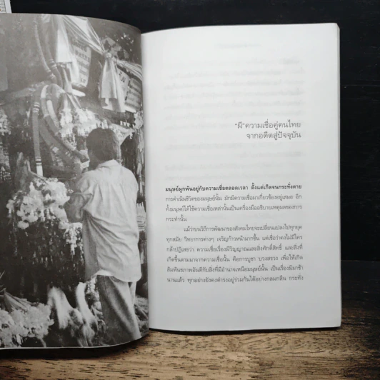 ผี-พระภูมิเจ้าที่ ลัทธิความเชื่อในสังคมเมือง - พร้อมพงษ์ ไพรีรณ รูปที่ 8