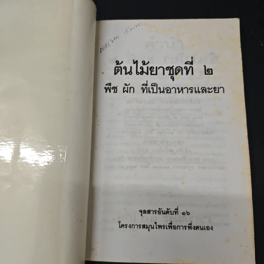 ต้นไม้ยา พืช ผัก ที่เป็นอาหารและยา รูปที่ 6