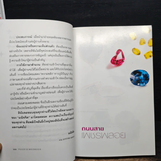 ถนนสายเพชรพลอย - มณิขจิต รูปที่ 7