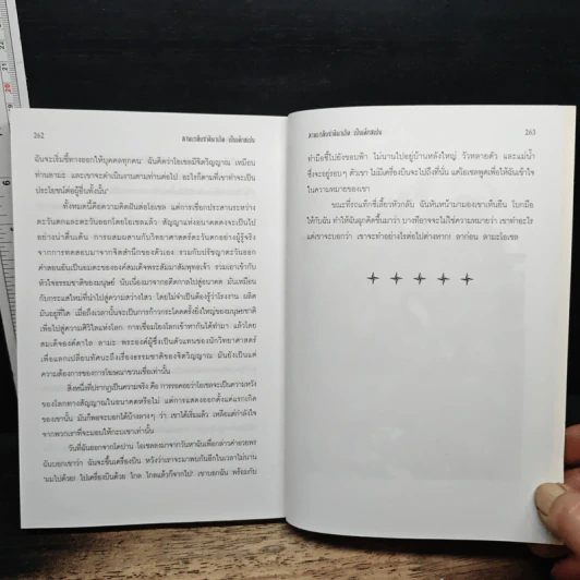 ลามะกลับชาติมาเกิด เป็นเด็กสเปน - วิกกี้ แมคเคน รูปที่ 8