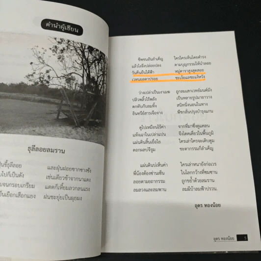 ว่าวใบกลอย - อุดร ทองน้อย รูปที่ 8