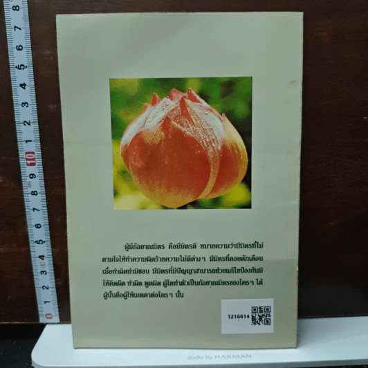 เมตตา - สมเด็จพระญาณสังวร สมเด็จพระสังฆราช สกลมหาสังฆปริณายก รูปที่ 2