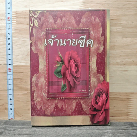 เจ้านายชีค - เมวิษา รูปที่ 1