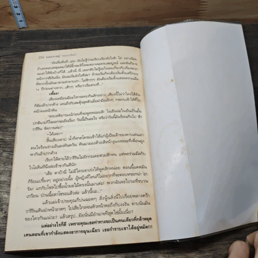 จอมปราชญ์จอมราชันย์ ภาค สายเลือดอัศวินแห่งเดวิลเลท รูปที่ 8