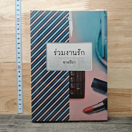 ร่วมงานรัก - ชาครียา รูปที่ 1