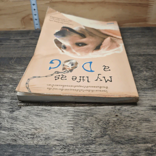 My Life as a Dog - ระริน รูปที่ 4