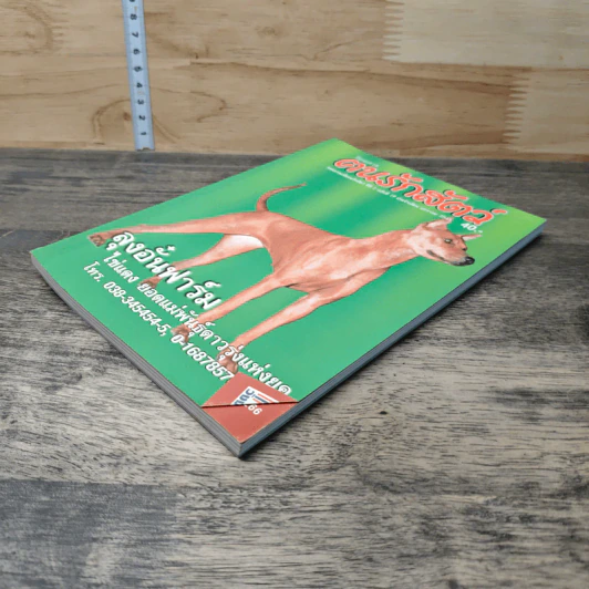 นิตยสารตนรักสัตว์ ปีที่ 2 ฉบับที่ 19 ม.ค.2545 รูปที่ 3