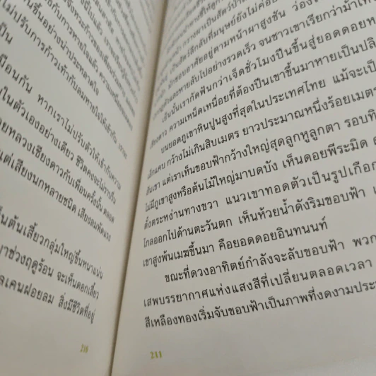 Wild Side ในนามของธรรมชาติ - วันชัย ตันติวิทยาพิทักษ์ รูปที่ 9