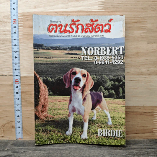 นิตยสารตนรักสัตว์ ปีที่ 2 ฉบับที่ 20 ก.พ.2545 รูปที่ 1