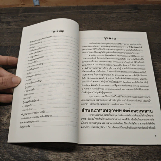หนังสือ การปลูกกุหลาบ - จุฑามาศ รูปที่ 7