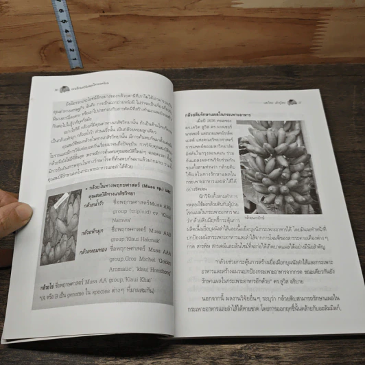 หนังสือ เจาะลึกผลวิจัย สมุนไพรยอดนิยม รูปที่ 9