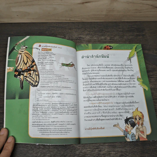 Why? ตะลุยโลกแมลง รูปที่ 6