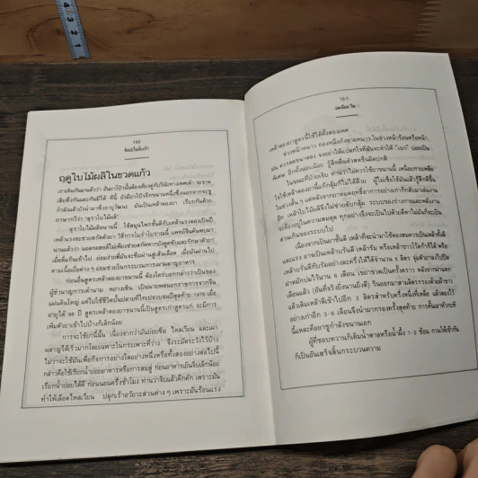 เต๋าแห่งหยินและหยาง ศิลปะในห้องรัก The Tao of Sea - แดเนียล รีด รูปที่ 9