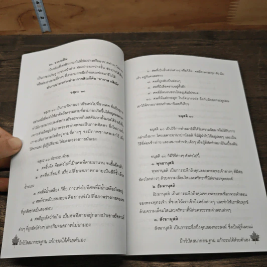 คู่มือฝึกวิปัสสนากรรมฐานฉบับเรียนด้วยตัวเอง - นาน สินธุสวัสดิ์ รูปที่ 8