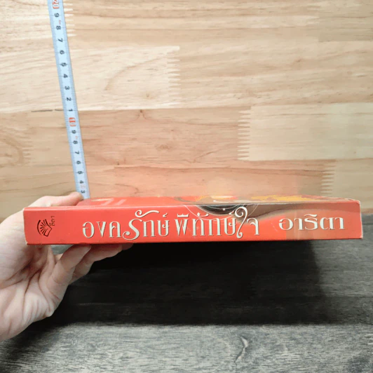 องครักษ์พิทักษ์ใจ - อาริตา รูปที่ 2