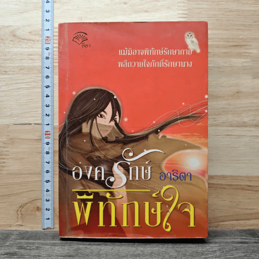 องครักษ์พิทักษ์ใจ - อาริตา รูปที่ 1