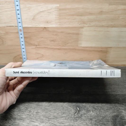 ความฝันโง่ๆ หนังสือเสริมกำลังใจ ชุด 2 - วินทร์ เลียววาริณ รูปที่ 2