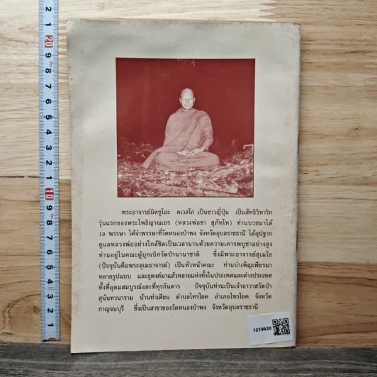ทุกขเวทนา - พระอาจารย์มิตซูโอะ คเวสโก รูปที่ 5