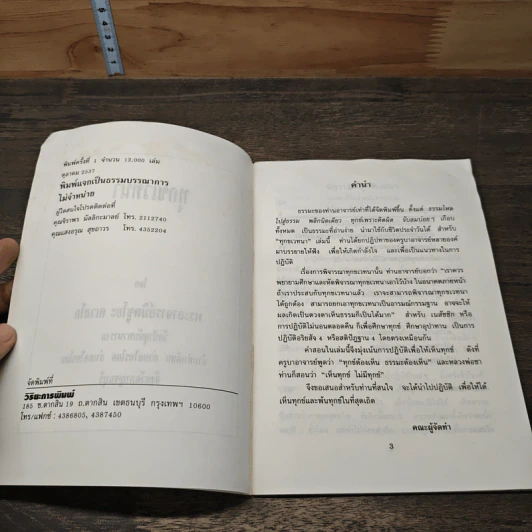 ทุกขเวทนา - พระอาจารย์มิตซูโอะ คเวสโก รูปที่ 6