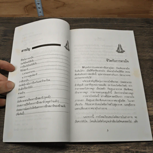 สมาธิลมปราณ ขนานแท้และดั้งเดิม - อิงซื่อจื่อ รูปที่ 7