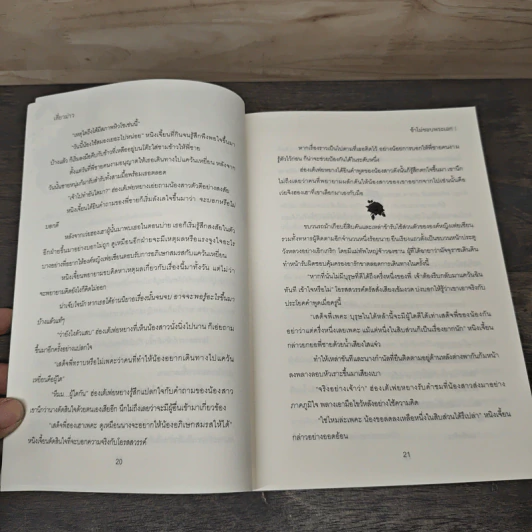 ข้าไม่ชอบพระเอก! - เสี่ยวม่าว รูปที่ 7