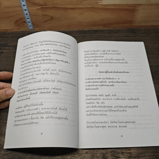 สอนคนขี้บ่น - พระอาจารย์มิตซูโอะ คเวสโก รูปที่ 8