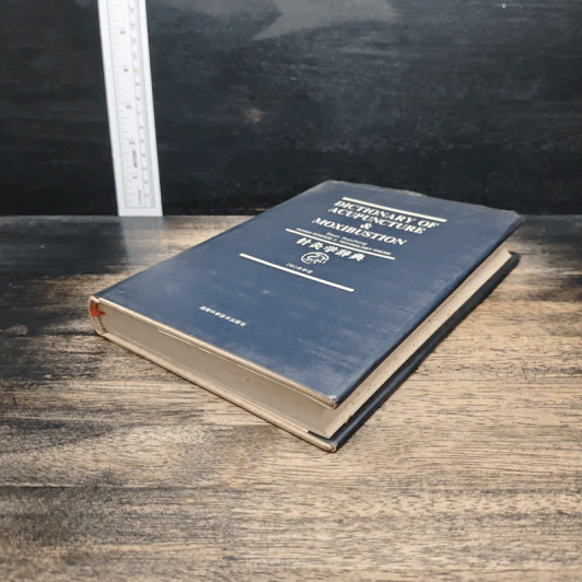 Dictionary of Acupuncture & Moxibustion - Shuai Xuezhong รูปที่ 4