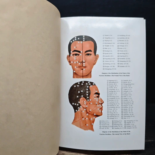 Dictionary of Acupuncture & Moxibustion - Shuai Xuezhong รูปที่ 6