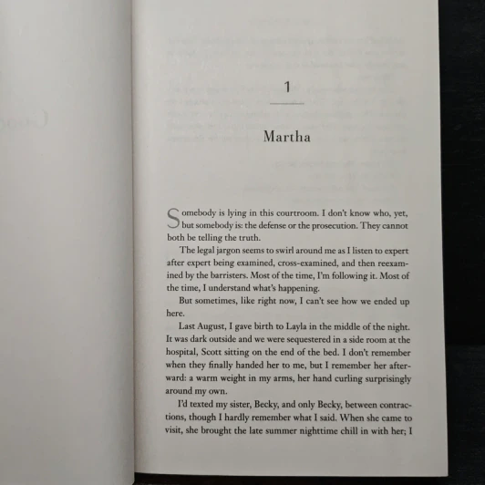 The Good Sister - Gillian McAllister รูปที่ 7