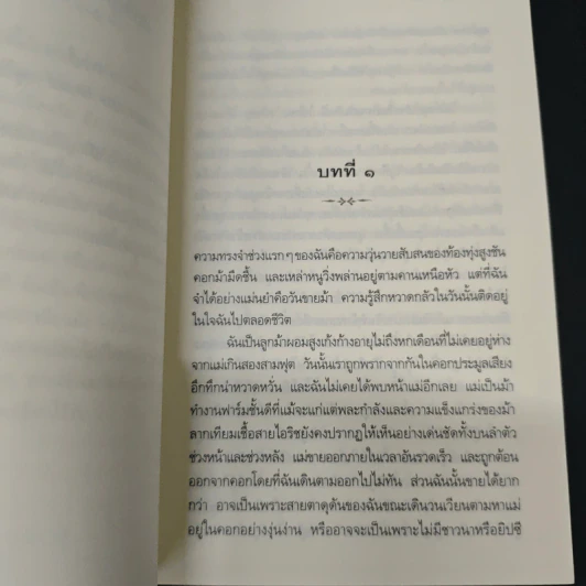 ม้าศึก War Horse - Michael Morpurgo (ไมเคิล มอร์พูร์โก) รูปที่ 6