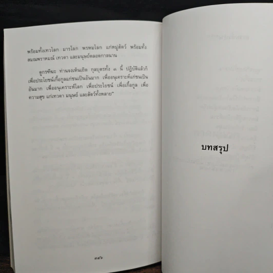 ธรรมธาตุ ธรรมชาติแห่งสรรพสิ่ง - ดร.ไชย ณ พล รูปที่ 13