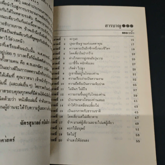 ปรัชญาจากภาพ - ฉัตรสุมาลย์ กบิลสิงห์ รูปที่ 6