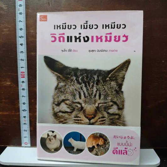 เหมียว เมี้ยว เหมียว วิถีแห่งเหมียว - จุนโกะ อิโต้ รูปที่ 1