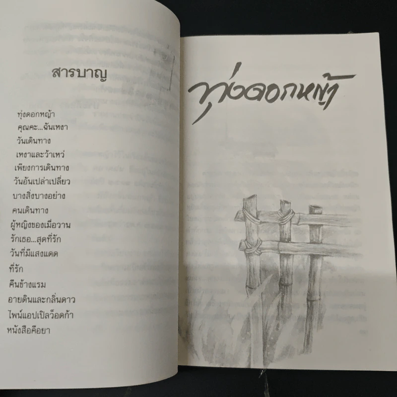 ทุ่งดอกหญ้า - ประภัสสร เสวิกุล รูปที่ 6