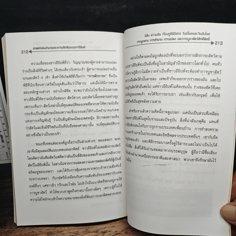 อียิปต์ ความลี้ลับและเวทมนตร์แห่งอารยธรรม รูปที่ 10