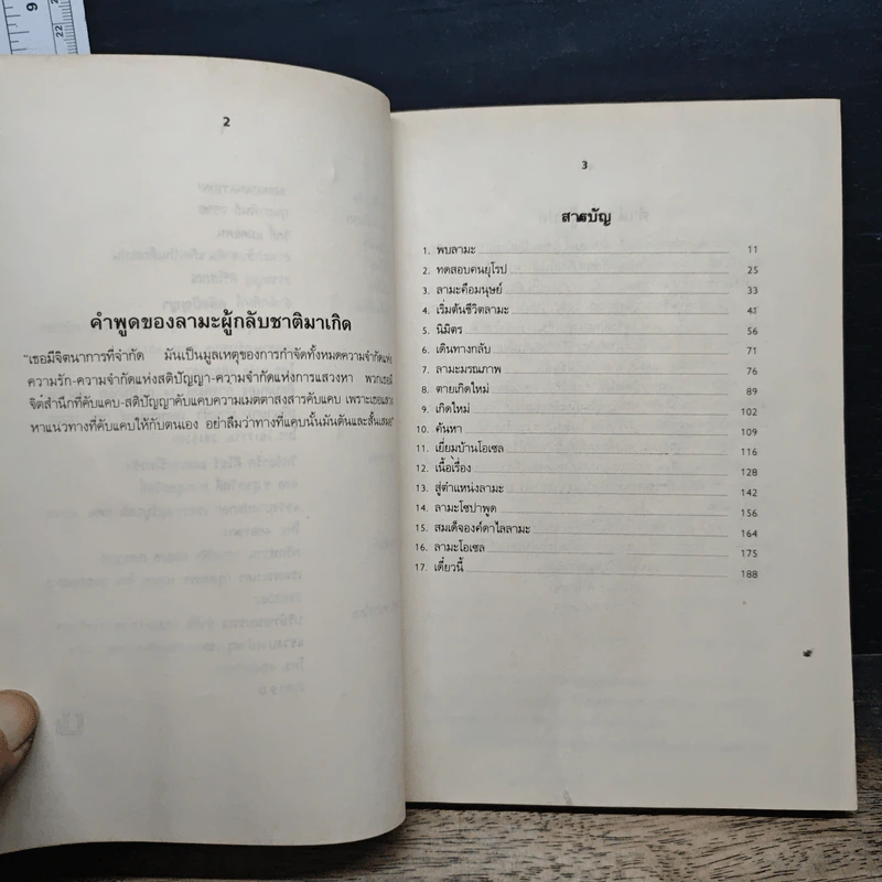 ลามะกลับชาติมาเกิด เป็นเด็กสเปน - วิกกี้ แมคเคน รูปที่ 7