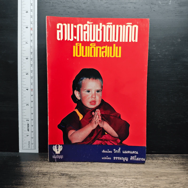 ลามะกลับชาติมาเกิด เป็นเด็กสเปน - วิกกี้ แมคเคน รูปที่ 1