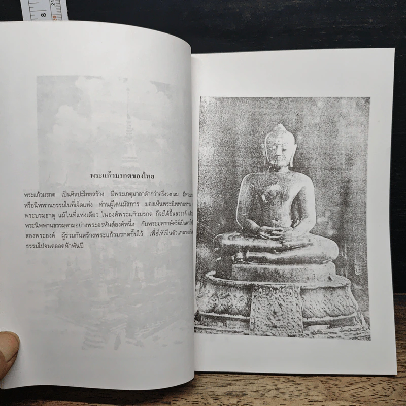 พระแก้วมรกตของไทย - ธรรมทาส พานิช รูปที่ 8