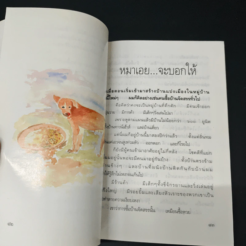 กรวดทรายในสายหมอก - สุริยนต์ จองลีพันธ์ รูปที่ 8