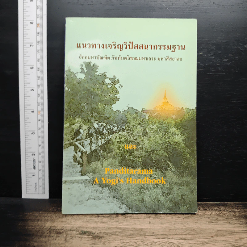 แนวทางเจริญวิปัสสนากรรมฐาน อัคคมหาบัณฑิต ภัททันตโสภณมหาเถระ มหาสีสยาดอ รูปที่ 1