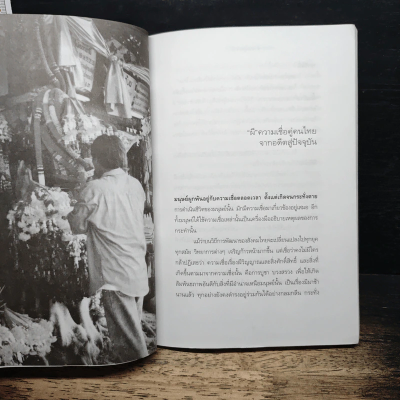 ผี-พระภูมิเจ้าที่ ลัทธิความเชื่อในสังคมเมือง - พร้อมพงษ์ ไพรีรณ รูปที่ 8