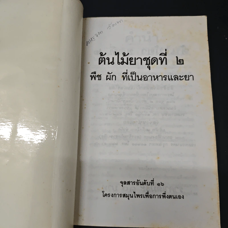 ต้นไม้ยา พืช ผัก ที่เป็นอาหารและยา รูปที่ 6