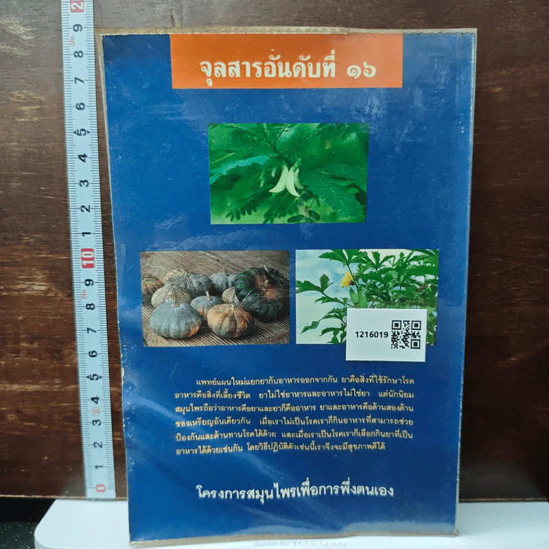ต้นไม้ยา พืช ผัก ที่เป็นอาหารและยา รูปที่ 2