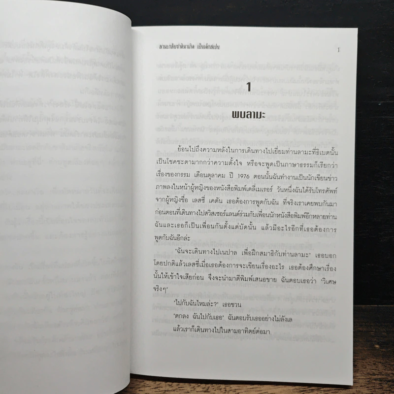 ลามะกลับชาติมาเกิด เป็นเด็กสเปน - วิกกี้ แมคเคน รูปที่ 7