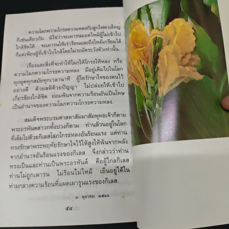 เมตตา - สมเด็จพระญาณสังวร สมเด็จพระสังฆราช สกลมหาสังฆปริณายก รูปที่ 8