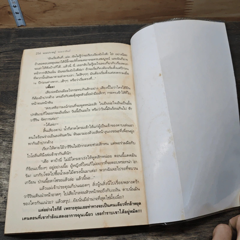 จอมปราชญ์จอมราชันย์ ภาค สายเลือดอัศวินแห่งเดวิลเลท รูปที่ 8