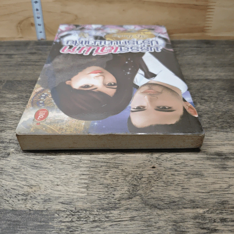 มธุรสเสน่หาปรารถนามาเฟีย - My Darling รูปที่ 4
