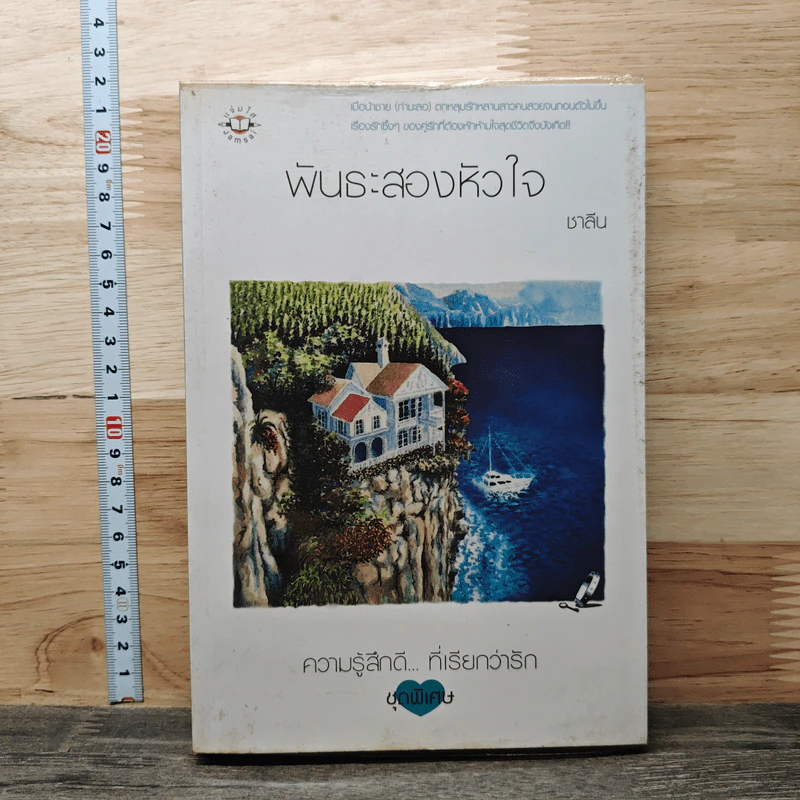 พันธะสองหัวใจ - ชาลีน รูปที่ 1