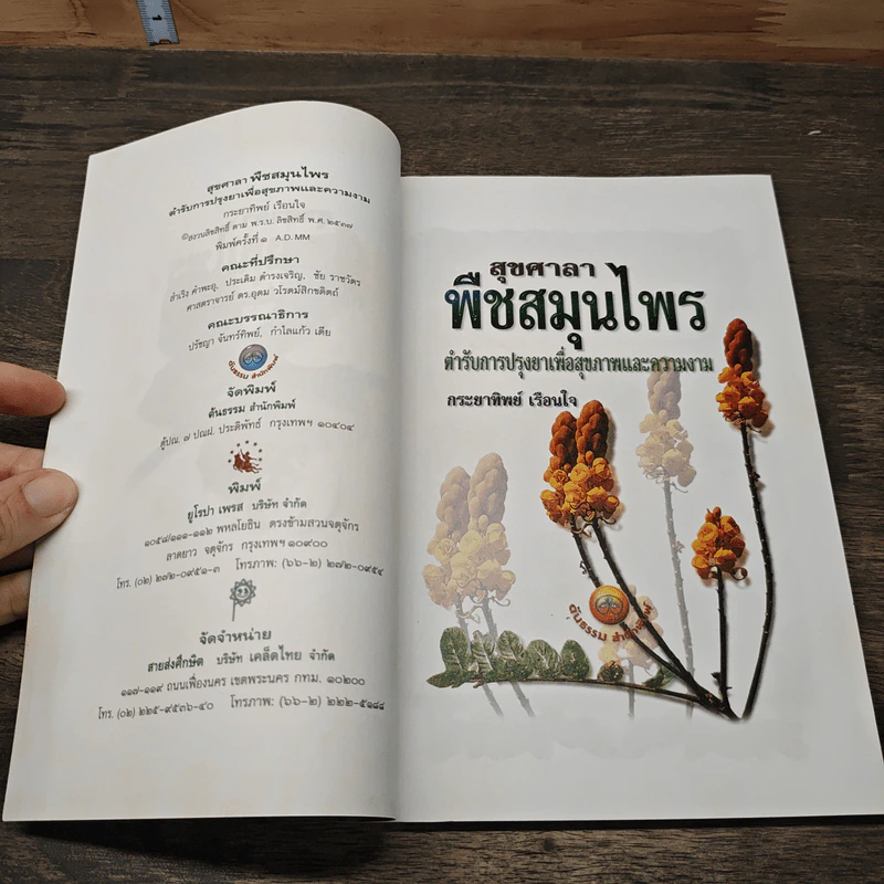 สุขศาลา พืชสมุนไพร: ตำรับการปรุงยาเพื่อสุขภาพและความงาม - กระยาทิพย์ เรือนใจ รูปที่ 6