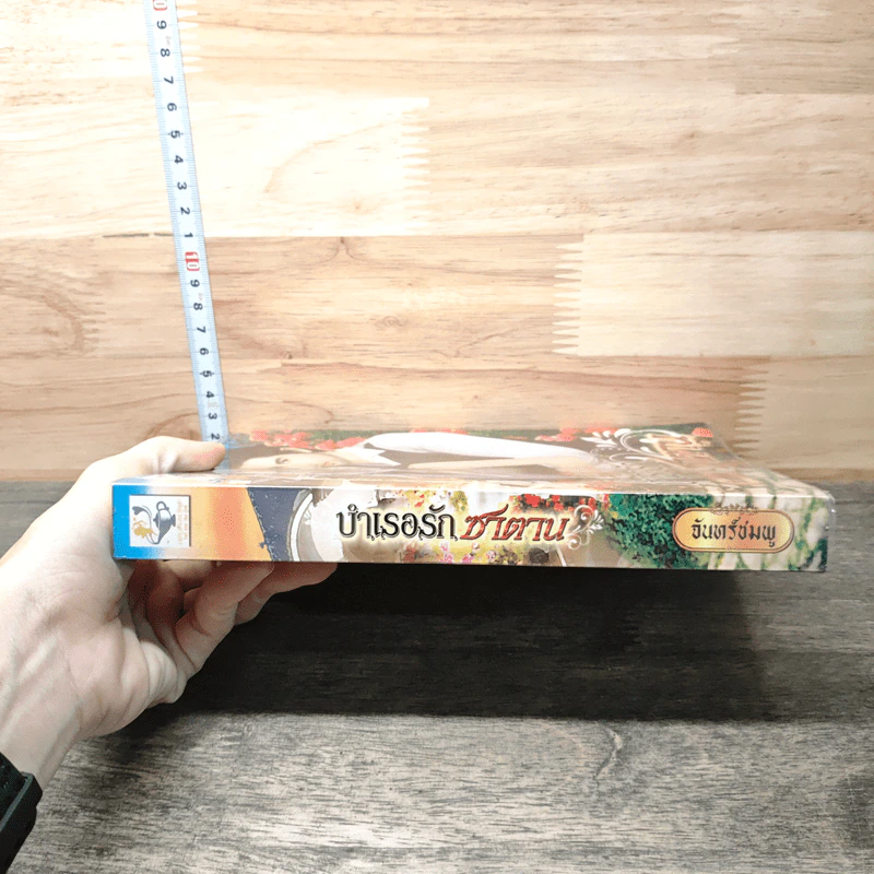 หนังสือ บำเรอรักซาตาน รูปที่ 2